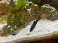 IMG_9453.jpeg