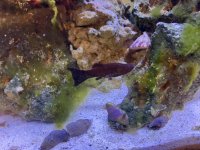 IMG_9451.jpeg