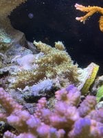 IMG_3180.jpeg