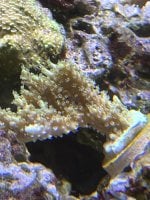 IMG_3186.jpeg