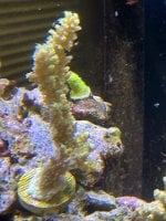 IMG_3177.jpeg