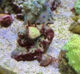 IMG_3175.jpeg