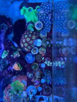 IMG_4074.jpeg