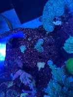 IMG_4073.jpeg