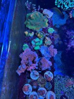 IMG_4072.jpeg
