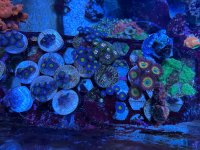 IMG_4069.jpeg