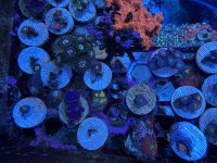 IMG_4070.jpeg