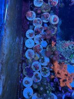 IMG_4071.jpeg