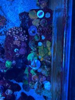 IMG_4068.jpeg