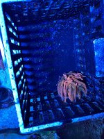 IMG_4067.jpeg