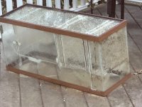 IMG_6076.jpeg