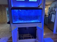 IMG_6072.jpeg