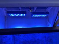 IMG_6073.jpeg
