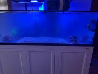 IMG_2543.jpeg