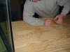 DSC03630.JPG