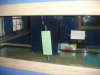 DSC03631.JPG