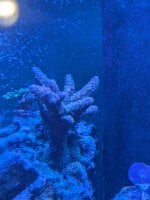 PXL_20250125_182944303.jpg