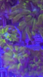 PXL_20250126_134930300.jpg
