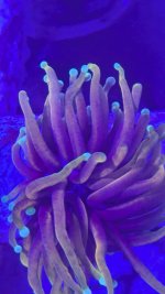 PXL_20250126_134908667.jpg