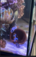 IMG_6598.jpeg