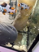 IMG_6600.jpeg