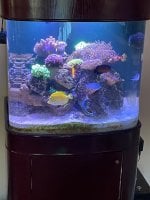 IMG_0612.jpeg
