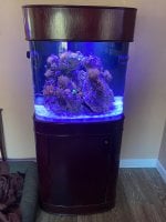 IMG_1999.jpeg