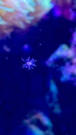 IMG_5479.jpeg