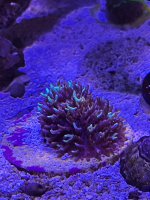 IMG_0936.jpeg