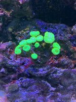 IMG_5608.jpeg