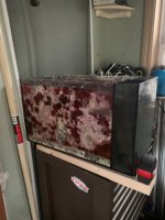 IMG_4204.jpeg