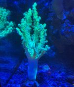 IMG_3161.jpeg