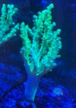 IMG_3160.jpeg