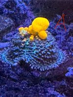IMG_3144.jpeg