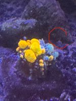 IMG_3152.jpeg