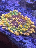 IMG_3153.jpeg