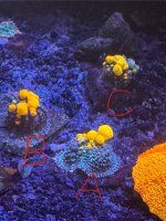 IMG_3143.jpeg