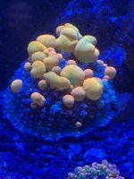 IMG_3159.jpeg