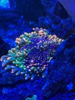 IMG_3164.jpeg
