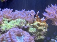 IMG_9679.jpeg