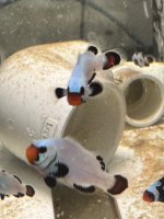 IMG_0886.jpeg