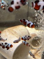 IMG_0892.jpeg
