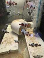 IMG_0883.jpeg