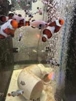 IMG_0878.jpeg