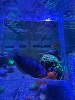 IMG_1991.jpg