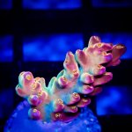 DSC_2348.jpg