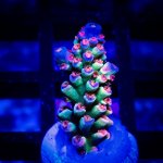 DSC_2378.jpg