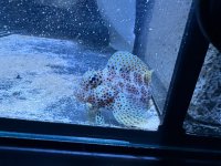 IMG_1377.jpeg