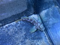 IMG_1376.jpeg