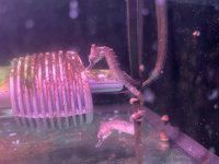 IMG_0637.jpeg